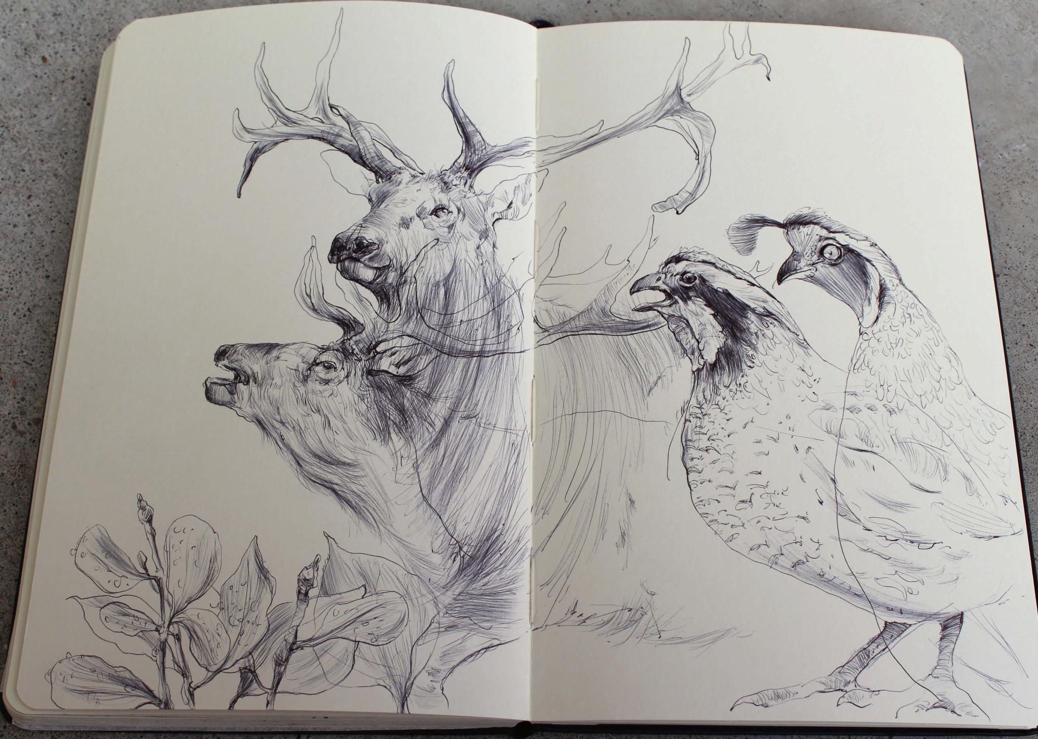 Moleskine Art Sketchbook